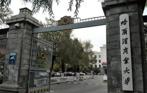 宿迁学院爆料视频曝光,揭秘校园内幕  第2张